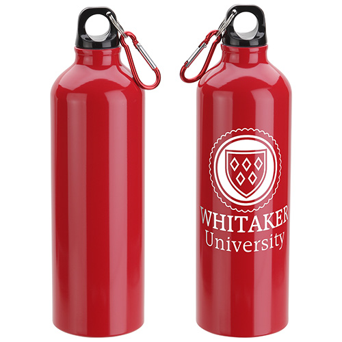 "Volunteers: You Deserve Praise Every Day in Every Way" Atrium 25 oz Aluminum Bottle with Carabiner - VOL085