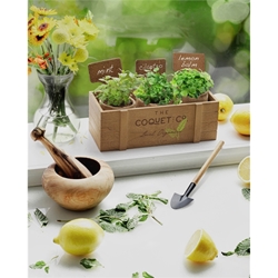 Terzetto Blossom Kit promotional flower planter set, eco friendly promotional items, earth day giveaways, earth friendly giveaways, employee appreciation gifts, spring promotional products, gardening promotional items