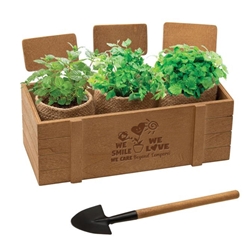 "We Smile, We Love, We Care Beyond Compare!"  Terzetto Blossom Kit  Nurses theme, Healthcare Appreciation theme planter set, promotional flower planter set, eco friendly promotional items, earth day giveaways, earth friendly giveaways, employee appreciation gifts, spring promotional products, gardening promotional items