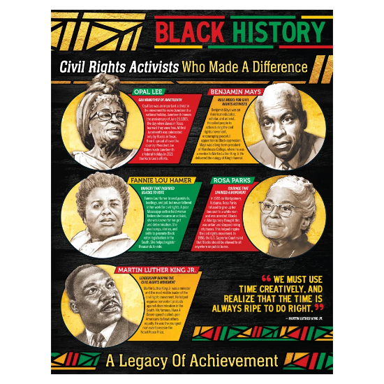  Black History Month Deluxe Laminated Posters - Set of 40 - BHM027