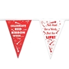 Celebrate Red Ribbon Week Stringed Pennant Banner, 60 red ribbon week, red ribbon week party supplies, red ribbon week decorations, drug prevention, party goods, decorations, banners