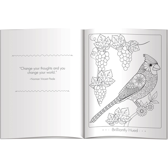 Color Meditations (Birds) Color Comfort Coloring Book - EDU396