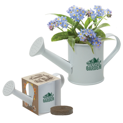 Mini Watering Can Blossom Kit - FLW001
