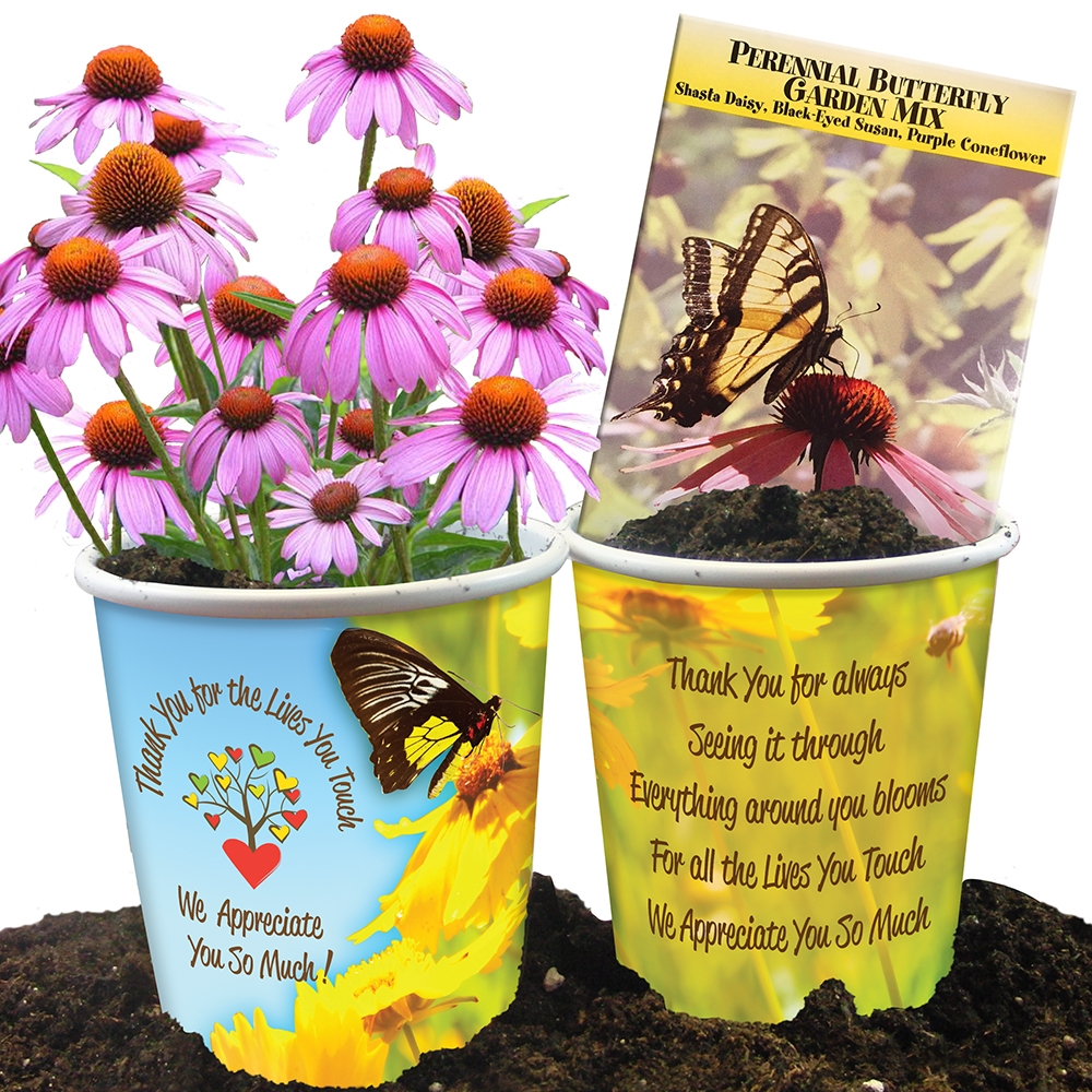 "Thank You For The Lives You Touch, We Appreciate You So Much" Butterfly Garden Mix Planter Set Butterfly, Garden Seed Mix, Seed Packet, Perennial, Planter, Gift, Set, Sets, Spring, Gifts, Efforts, Making A Difference, Budget Friendly, 