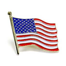 Washington State Lapel Pin WA US Flag American USA Patriot Politics