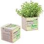 "Volunteers We're Blooming With Appreciation For You!" Wooden Cube Blossom Kit Volunteer appreciation promotional flower planter set, volunteer theme, eco friendly promotional items, earth day giveaways, earth friendly giveaways, employee appreciation gifts, spring promotional products, gardening promotional items