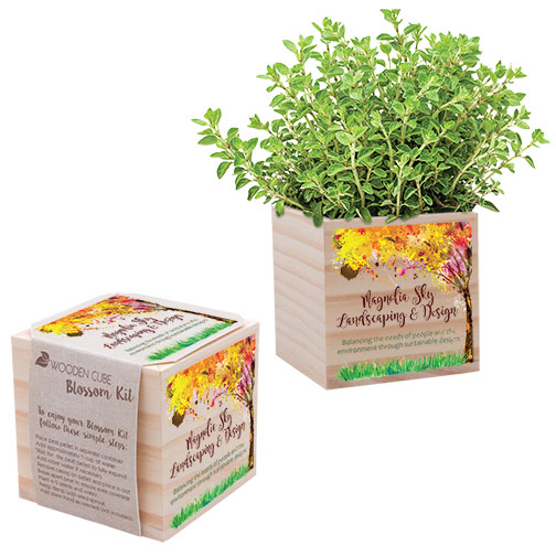 Wooden Cube Blossom Kit | Care Promotions