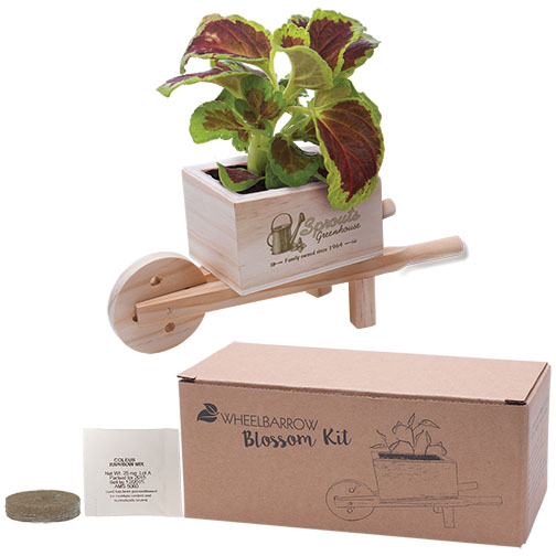 Wooden Wheel Barrow Blossom Kit | Care Promotions